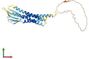 Protein Structure (PS) image for Calcium Channel, Voltage-Dependent, gamma Subunit 5 (CACNG5) (AA 1-275) protein (His tag) (ABIN7559938)