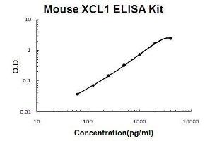 Mouse XCL1/Lymphotactin PicoKine ELISA Kit standard curve (XCL1 ELISA 试剂盒)