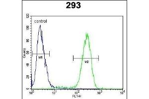 TRSS2 Antibody (N-term) (ABIN391563 and ABIN2841502) flow cytometric analysis of 293 cells (right histogram) coared to a negative control cell (left histogram). (TMPRSS2 抗体  (N-Term))