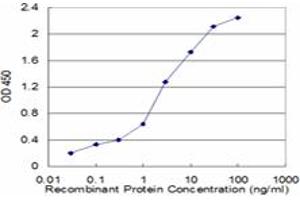 Detection limit for recombinant GST tagged SEPX1 is approximately 0. (MSRB1 抗体  (AA 1-84))