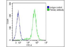 Overlay histogram showing Jurkat cells stained with (ABIN652257 and ABIN2841071)(green line).
