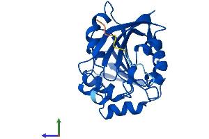 Protein Structure (PS) image for Thiopurine S-Methyltransferase (TPMT) (AA 1-240) protein (His tag) (ABIN7562473)