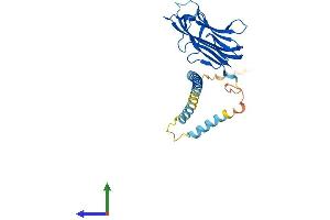 Protein Structure (PS) image for CD40 Ligand (CD40LG) (AA 1-261) protein (His tag) (ABIN7553108)