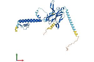 Protein Structure (PS) image for Potassium Inwardly-Rectifying Channel, Subfamily J, Member 8 (KCNJ8) (AA 1-424) protein (His tag) (ABIN7556827)
