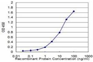 Detection limit for recombinant GST tagged CTH is approximately 1ng/ml as a capture antibody. (CTH 抗体  (AA 1-405))