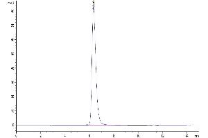 Size-exclusion chromatography-High Pressure Liquid Chromatography (SEC-HPLC) image for CD274 (PD-L1) (AA 19-237) protein (Fc Tag) (ABIN7275437)