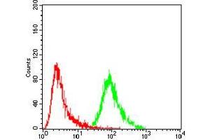 Flow Cytometry (FACS) image for anti-Excision Repair Cross Complementing Polypeptide-1 (ERCC1) (AA 151-297) antibody (ABIN5542431)