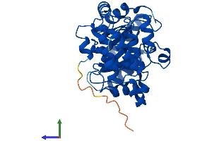 Protein Structure (PS) image for Dihydrouridine Synthase 4-Like (DUS4L) (AA 1-317) protein (His tag) (ABIN7547198)