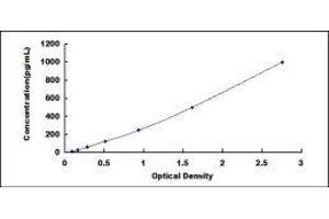 Cyclin D2 (CCND2) ELISA Kit