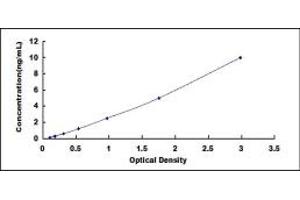 Typical standard curve (IL1RAPL2 ELISA 试剂盒)