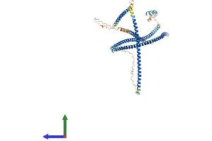 Protein Structure (PS) image for Optineurin (OPTN) (AA 1-577) protein (His tag) (ABIN7554830)