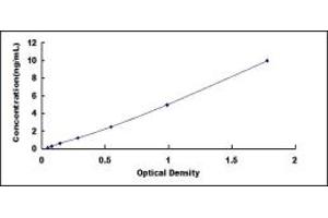 Typical standard curve (Caspase 6 ELISA 试剂盒)