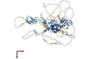 CTDP1 Protein (AA 1-961) (His tag)