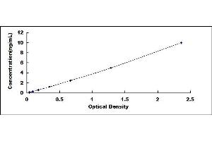 Typical standard curve