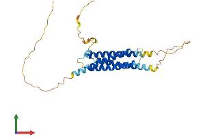 AlphaFold protein structure predicition of Mouse Recombinant Rgs7bp Protein, UniprotID Q8BQP9