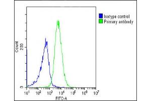 Overlay histogram showing Ramos cells stained with (ABIN652888 and ABIN2842575)(green line). (HLAG 抗体  (AA 62-89))