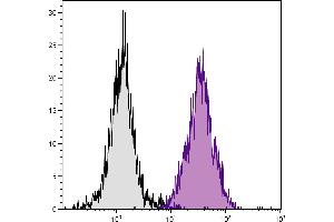 C3H/He mouse splenocytes were stained with Mouse Anti-Mouse H-2Dk-PE. (H-2Dk 抗体  (FITC))