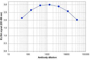 ELISA of anti-ZBTB4 antibody ELISA results of Rabbit anti-ZBTB4 antibody. (ZBTB4 抗体)