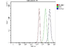 Flow Cytometry analysis of 293T cells using anti-ATP5F1B antibody (ABIN7599866). (Atp5f1b (AA 123-529) 抗体)