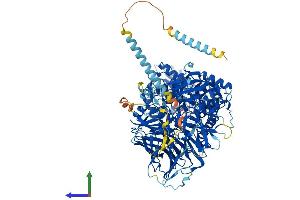 Protein Structure (PS) image for Mannosidase, Alpha, Class 2A, Member 2 (MAN2A2) (AA 1-1152) protein (His tag) (ABIN7564416)