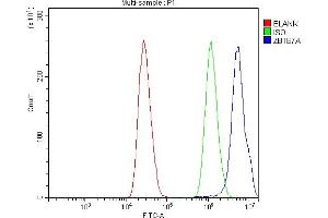 Flow Cytometry analysis of MCF-7 cells using anti-ZBTB7A antibody (ABIN3044568).