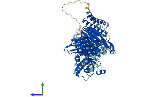 Protein Structure (PS) image for Calpain 7 (CAPN7) (AA 1-813) protein (His tag) (ABIN7556226)