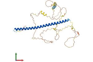 AlphaFold protein structure predicition of Mouse Recombinant Junb Protein, UniprotID P09450