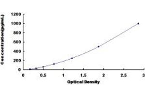 Typical standard curve (IFNA21 ELISA 试剂盒)