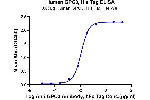 ELISA image for Glypican 3 (GPC3) (AA 25-559) protein (His tag) (ABIN7274774)