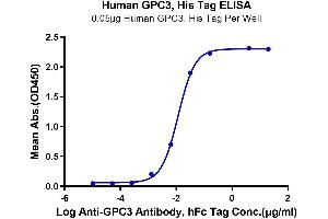Immobilized Human GPC3, His Tag at 0. (Glypican 3 Protein (GPC3) (AA 25-559) (His tag))
