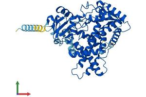 AlphaFold protein structure predicition of Mouse Recombinant Cyp2c55 Protein, UniprotID Q9D816 (CYP2C55 Protein (AA 1-490) (His tag))