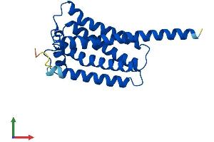 AlphaFold protein structure predicition of Mouse Recombinant Ebpl Protein, UniprotID Q9D0P0 (EBPL Protein (AA 1-206) (His tag))