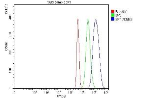 Flow Cytometry analysis of Neuro-2a cells using anti-splicing factor 1 antibody (ABIN7600194).