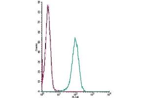 Cell surface detection of LPAR6 by indirect flow cytometry in live intact human THP-1 monocytic leukemia cells: (black line) Cells. (LPAR6 抗体  (Extracellular))