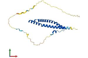 Protein Structure (PS) image for Occludin/ELL Domain Containing 1 (OCEL1) (AA 1-219) protein (His tag) (ABIN7559829)