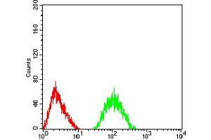 Flow Cytometry (FACS) image for anti-Glutamate Receptor, Ionotropic, AMPA 2 (GRIA2) (AA 35-175) antibody (ABIN5611163)