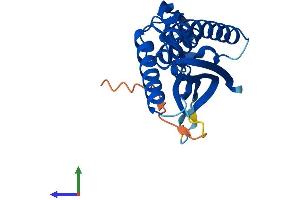 Protein Structure (PS) image for Chromosome 12 Open Reading Frame 44 (C12orf44) (AA 1-218) protein (His tag) (ABIN7552401)