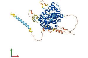 Protein Structure (PS) image for Carbohydrate (N-Acetylglucosamine 6-O) Sulfotransferase 7 (CHST7) (AA 1-486) protein (His tag) (ABIN7553479)
