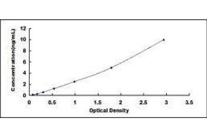 Typical standard curve (Chemerin ELISA 试剂盒)