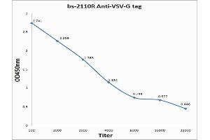 Antigen: 0. (VSV-g Tag 抗体)