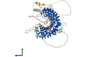 Protein Structure (PS) image for Plakophilin 1 (PKP1) (AA 1-747) protein (His tag) (ABIN7550780)
