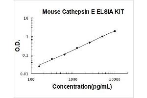 Cathepsin E (CTSE) ELISA Kit