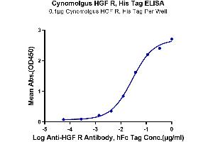 c-MET Protein (AA 25-930) (His tag)