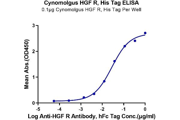 c-MET Protein (AA 25-930) (His tag)