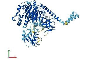 Protein Structure (PS) image for Solute Carrier Family 27 (Fatty Acid Transporter), Member 4 (SLC27A4) (AA 1-643) protein (His tag) (ABIN7555300)