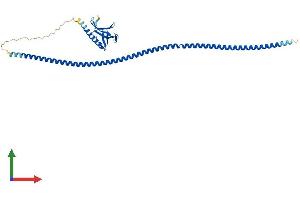 Protein Structure (PS) image for Homer Homolog 2 (HOMER2) (AA 1-354) protein (His tag) (ABIN7561738)