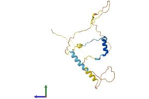 Protein Structure (PS) image for Cbp/p300-Interacting Transactivator, with Glu/Asp-Rich Carboxy-terminal Domain, 1 (CITED1) (AA 1-203) protein (His tag) (ABIN7563563)