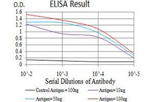 Black line: Control Antigen (100 ng);Purple line: Antigen (10ng); Blue line: Antigen (50 ng); Red line:Antigen (100 ng) (ESRRA 抗体  (AA 198-376))