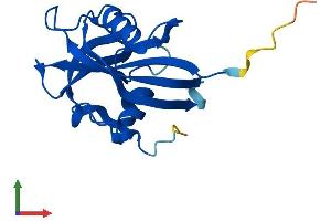Protein Structure (PS) image for Nudix (Nucleoside Diphosphate Linked Moiety X)-Type Motif 15 (NUDT15) (AA 1-164) protein (His tag) (ABIN7549965)
