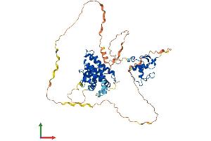AlphaFold protein structure predicition of Human Recombinant RXRB Protein, UniprotID P28702